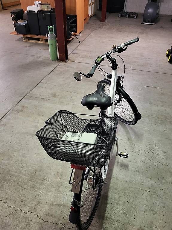 Biciclette: Flyer elektro Velo 45km/h – Usato da Stäfa venduto da alexkraljevo 1