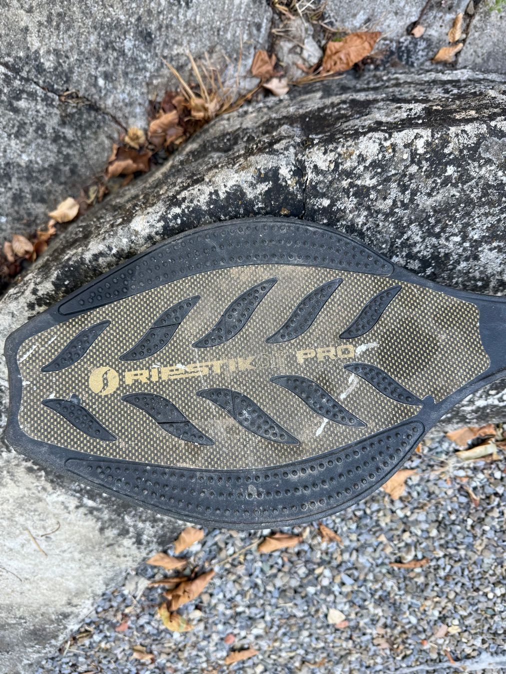 Skateboards: Waveboard, Ripstick Pro – Usato da Wohlen AG venduto da thr_t5x8 2