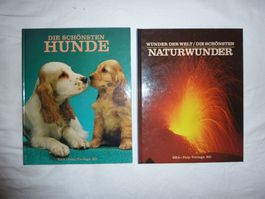 Büchersammlung Natur