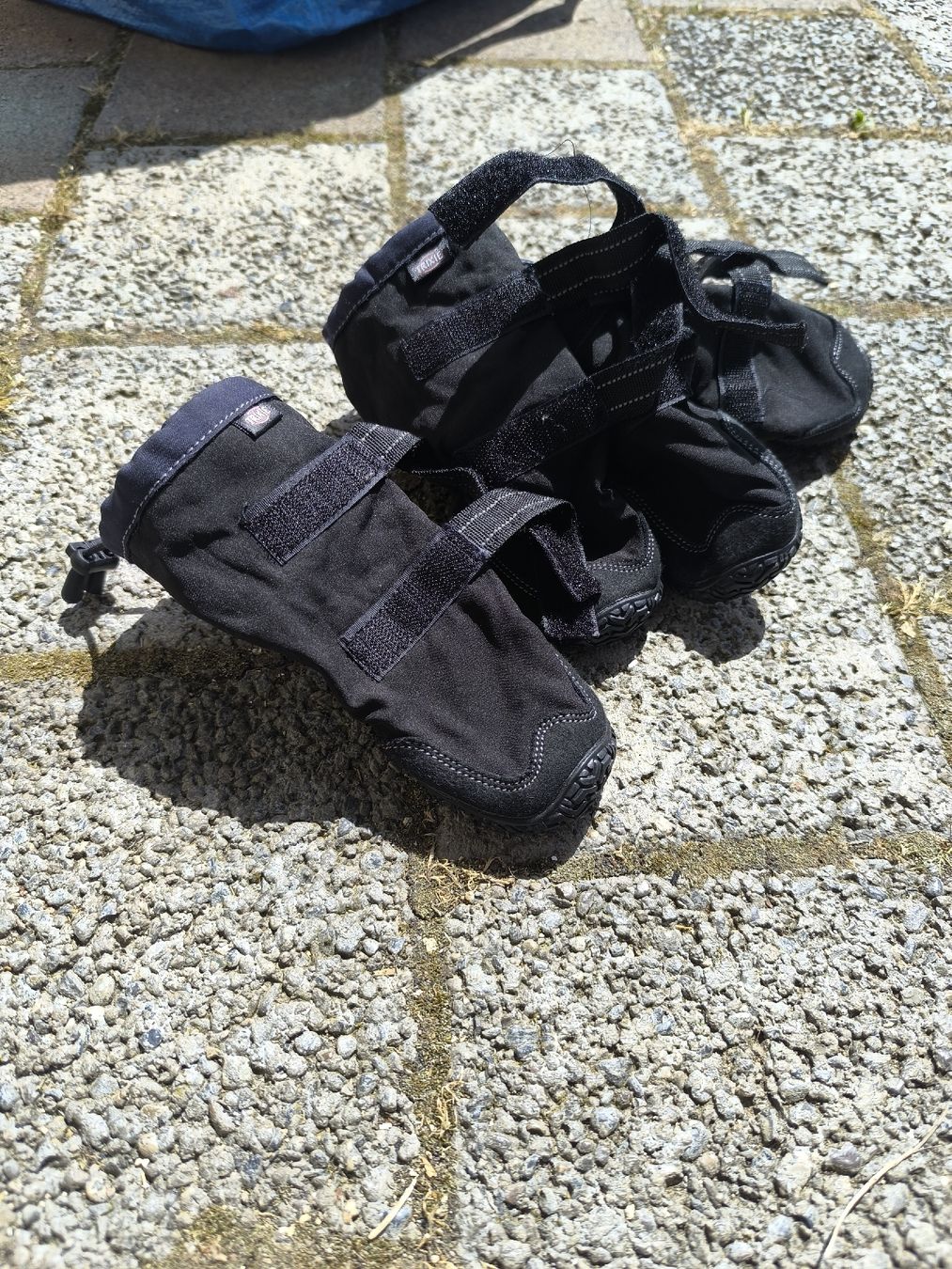 Abbigliamento: Pfotenschutz – Usato da  venduto da