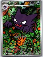 Sammelkarte Pokémon Haunter AR