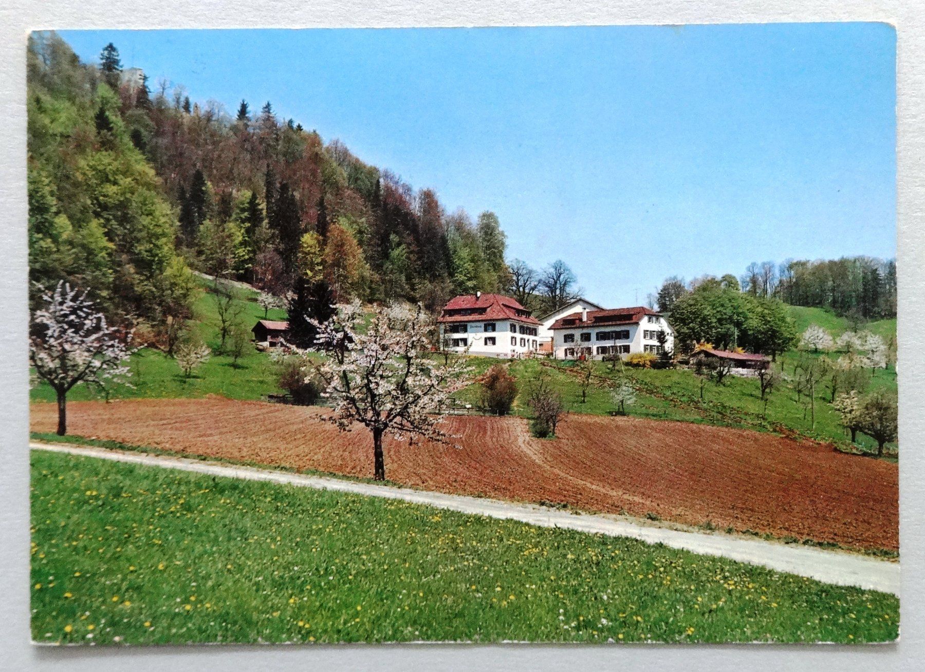 Cartes postales: Restaurant Farnsburg, Ormalingen – Défectueux à Fétigny par Billy2miny