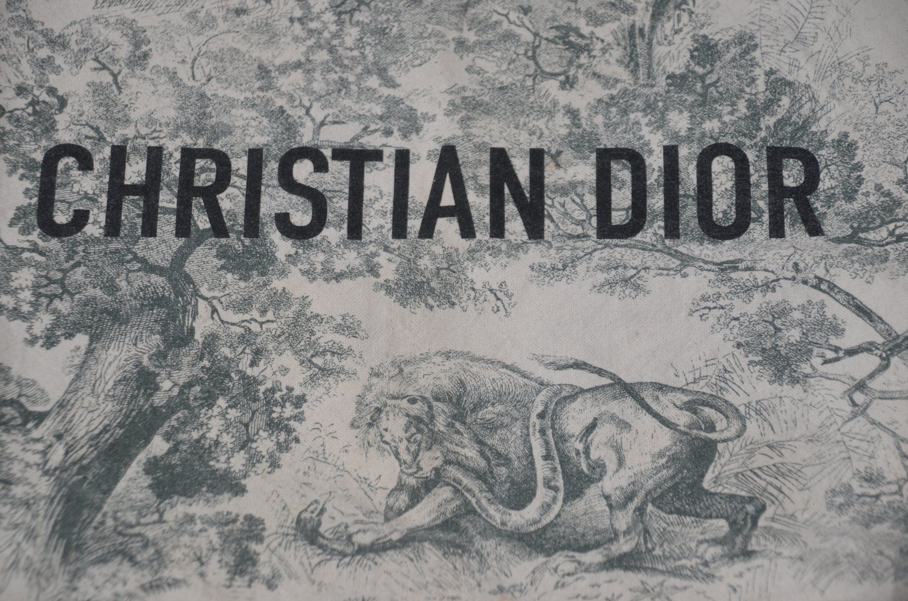 Dior Borse: Christian Dior Diorodeo Tote Tasche / sac – Usato da Collonges venduto da Auganien 6