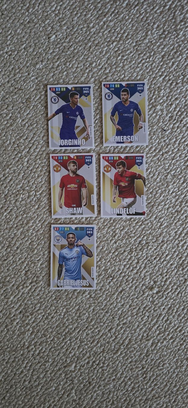 Panini Carte collezionabili: FIFA 365 Karten – Usato da Safnern venduto da Brionne 2