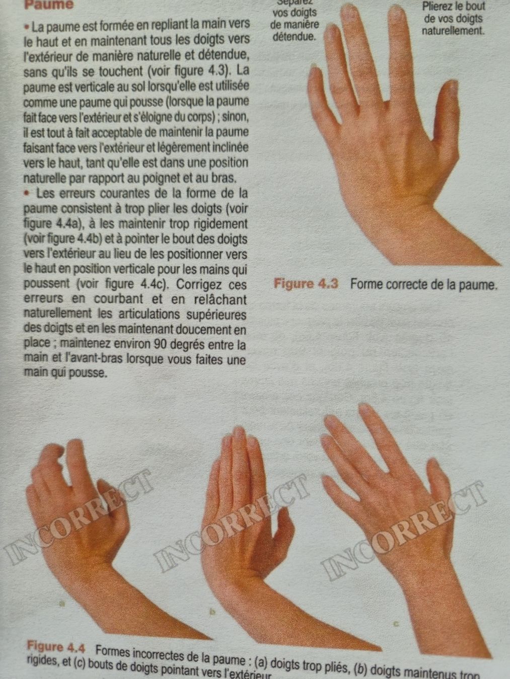 Libri: découvrez le tai chi – Nuovo e nell'imballaggio originale da Bulle venduto da nora169 2