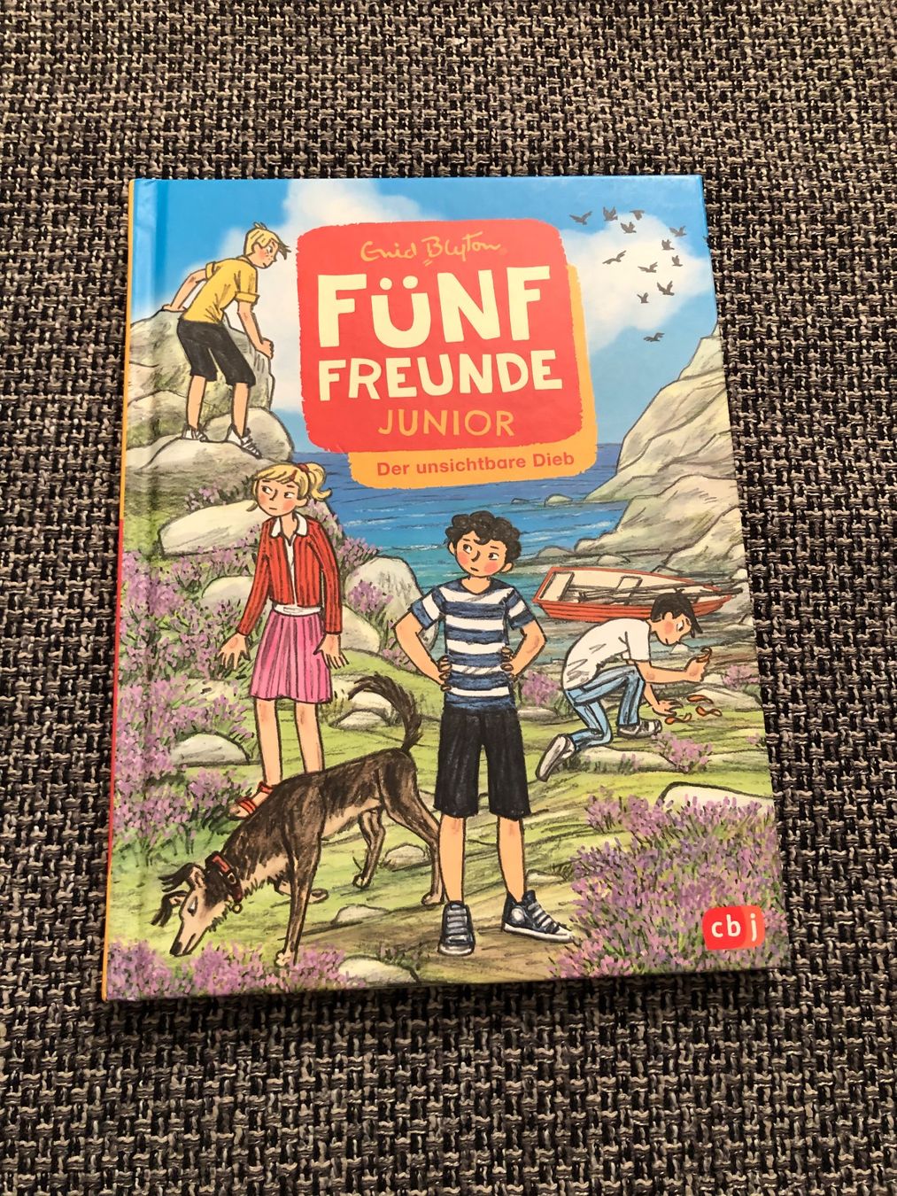 Bücher: Fünf Freunde Junior, Der unsichbare Dieb – Neu (gemäss Beschreibung) aus Langnau am Albis von snla_scc9