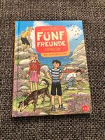 Fünf Freunde Junior, Der unsichbare Dieb