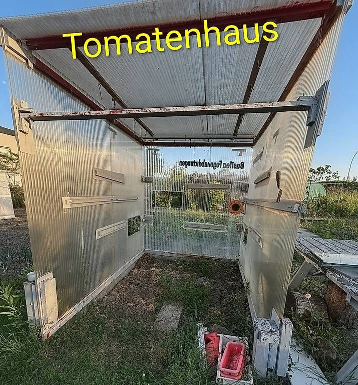 Casette da giardino & serre: Gewächshaus – Usato da Basel venduto da ner_5gnp