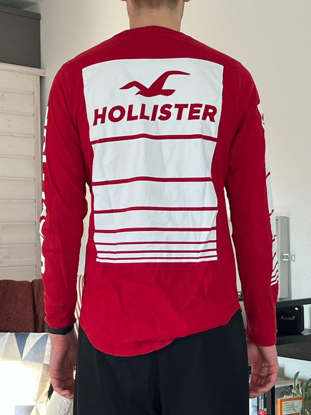 Hollister Maglioni & Felpe: Hollister | Langarm-Shirt – Usato da Zollikofen venduto da ramonaa84 2
