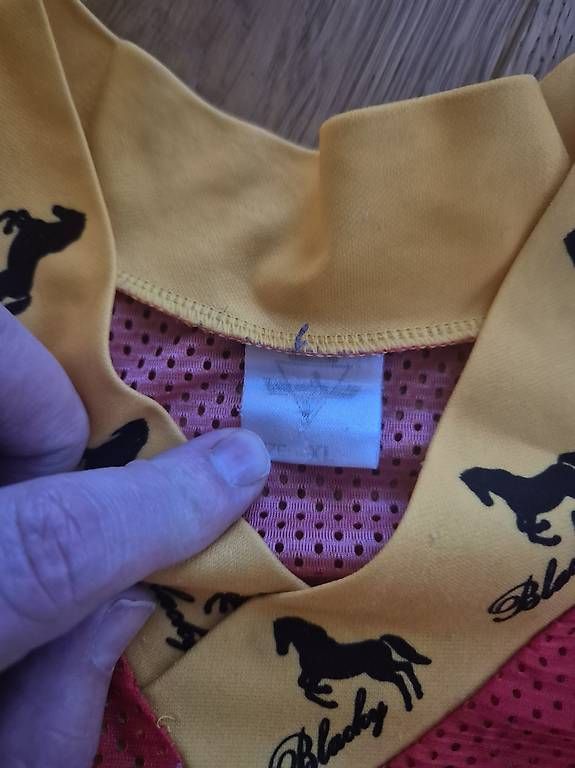 Canottiere & Pantaloni: Original SC Bern Trikot Saison 95/96 – Usato da Koppigen venduto da abu_5syv 1