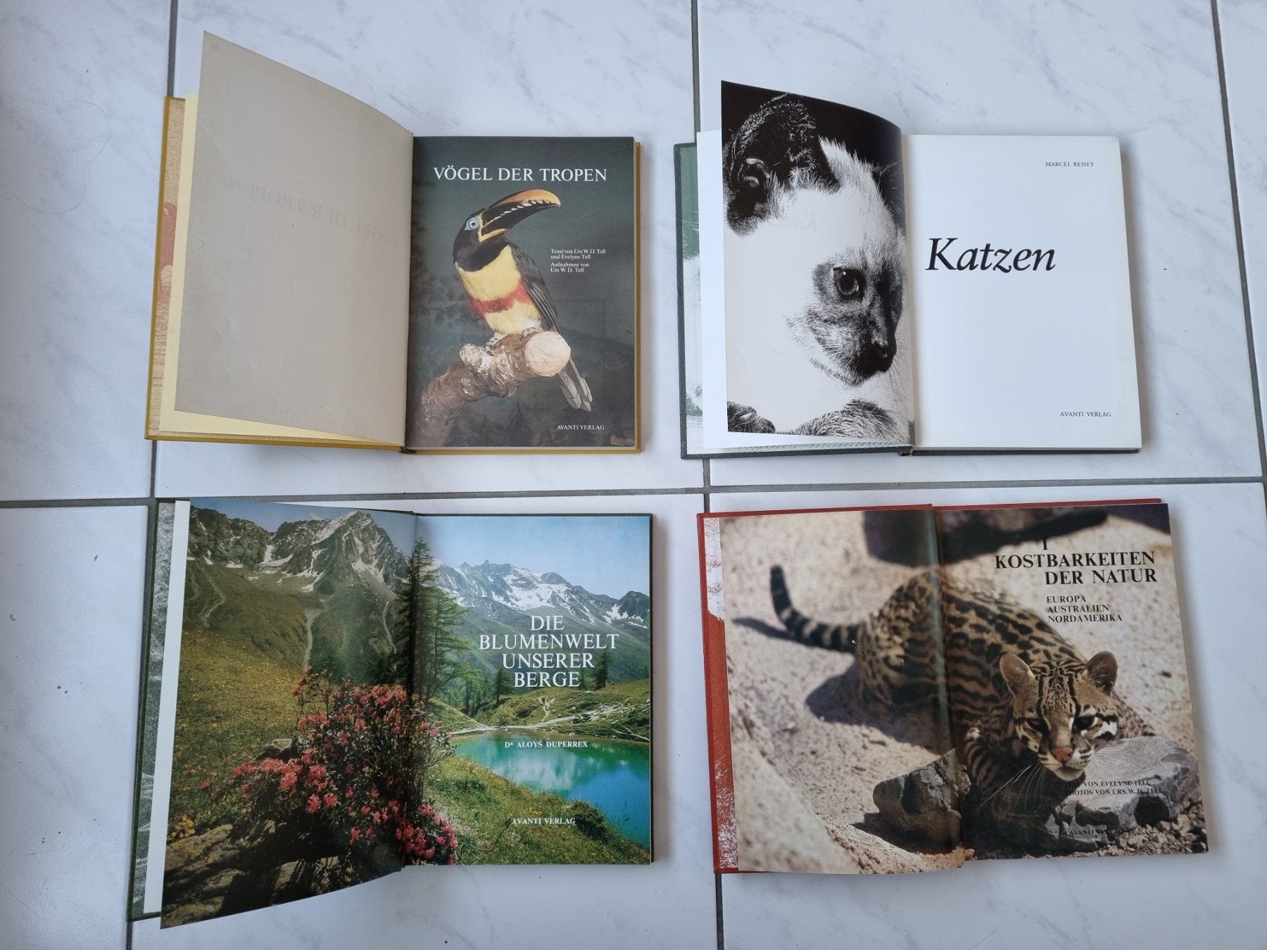 Libri: Schöne, ältere Bücher / Avanti Verlag – Usato da Nottwil venduto da Janny77 2