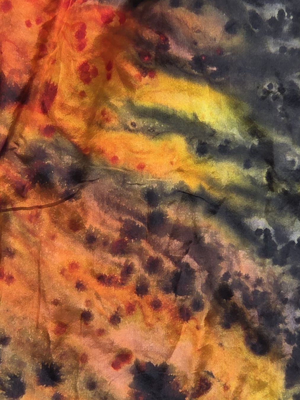 Foulard & Sciarpe: Seidenfoulard 90x90 – Nuovo (secondo la descrizione) da Frauenfeld venduto da Schenken-mit-Herz 2