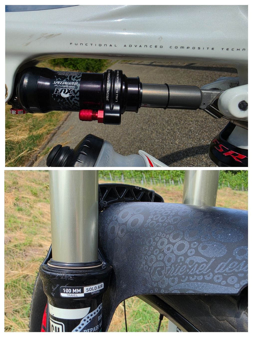 Specialized Biciclette: Specialized Epic FSR Expert Carbon 29 – Usato da Winterthur venduto da TheMatrixHasYou 5