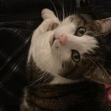 Profile image of tas_9hcj