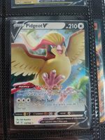 Pidgeot V