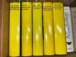 buch, tiere lexikon, schmetterlinge, pilze, wald, käfer