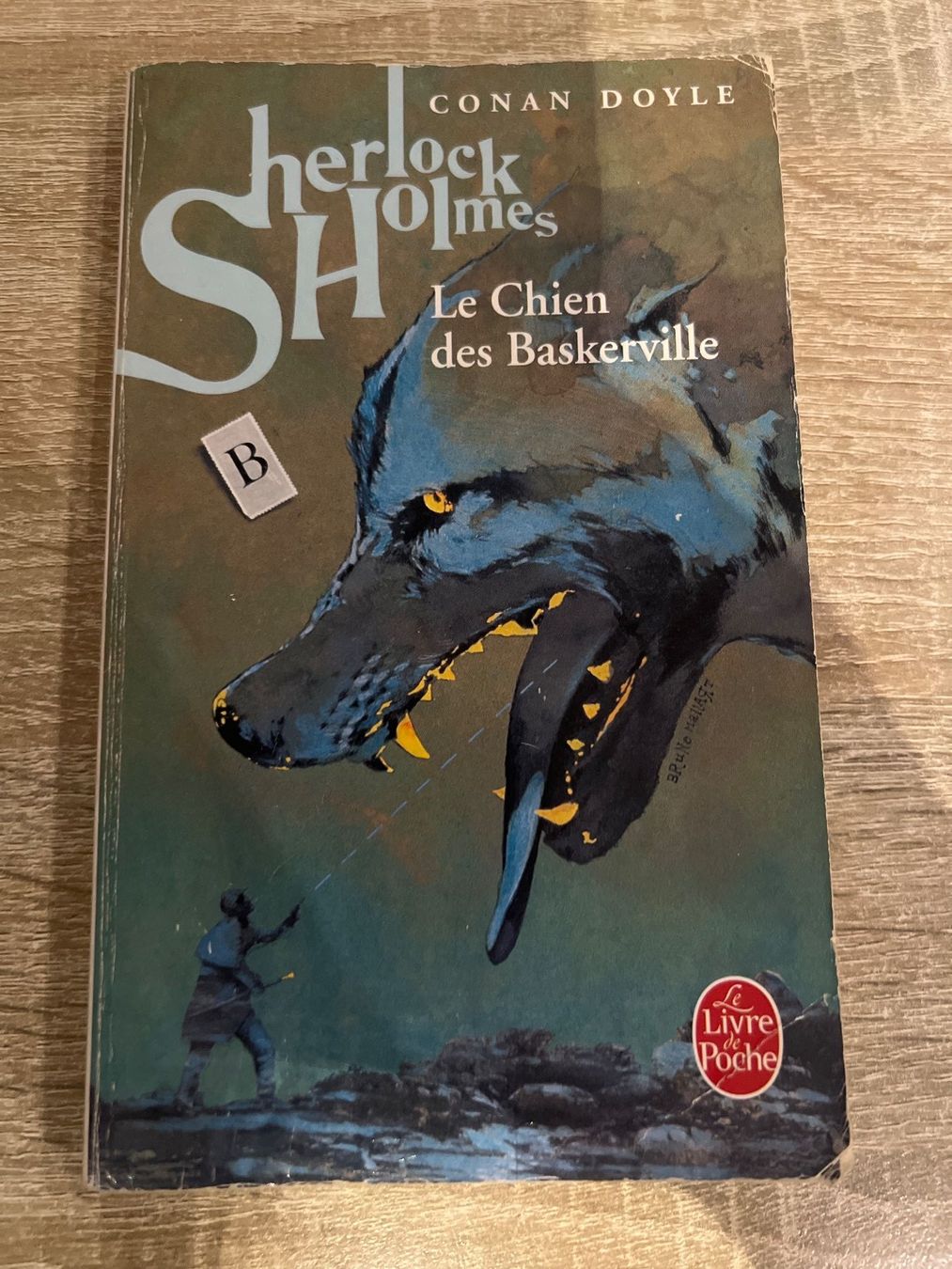 Libri: Französische Bücher Sammlung: Klassiker – Usato da Stalden VS venduto da Mister_20 3