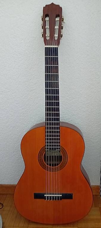 Strumenti musicali: Guitare pour débutant – Usato da Orbe venduto da sonatje01