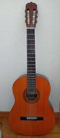 Guitare pour débutant