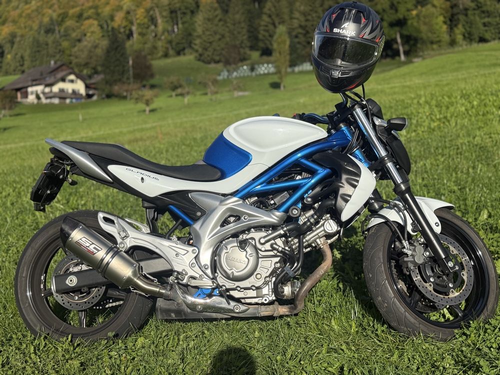 Elegantes Suzuki Gladius Sfv 650 Bild
