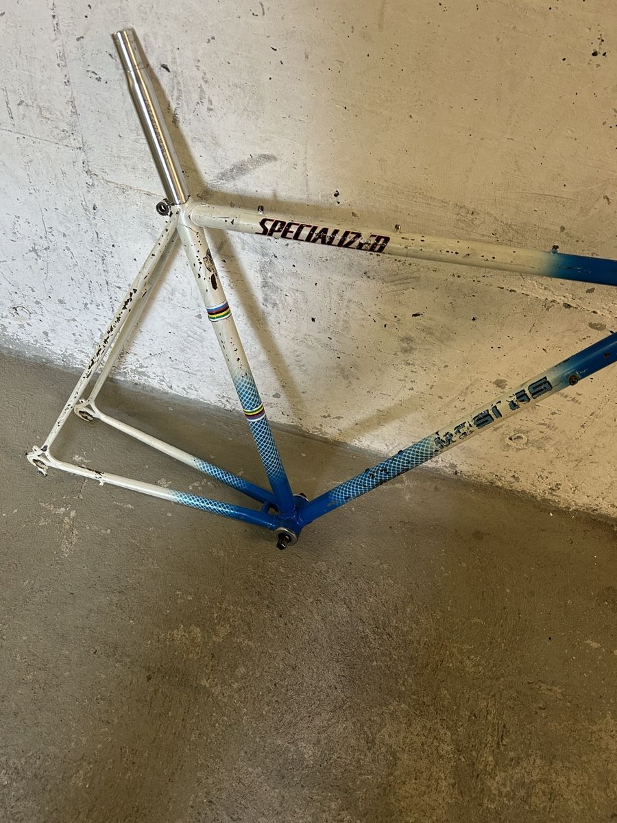 Specialized Velos: specialized Rahmen rennvelo – Gebraucht aus Egerkingen von G1970B