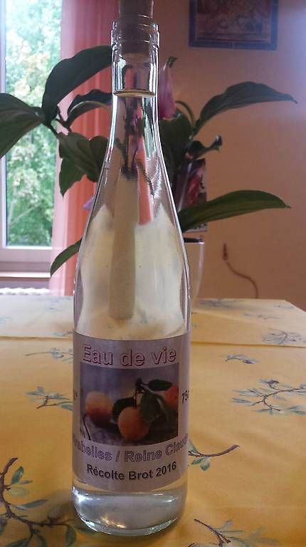Spirituosen: Mirabelle fait maison 75cl. – Gebraucht aus Bôle von Benedetto72 1