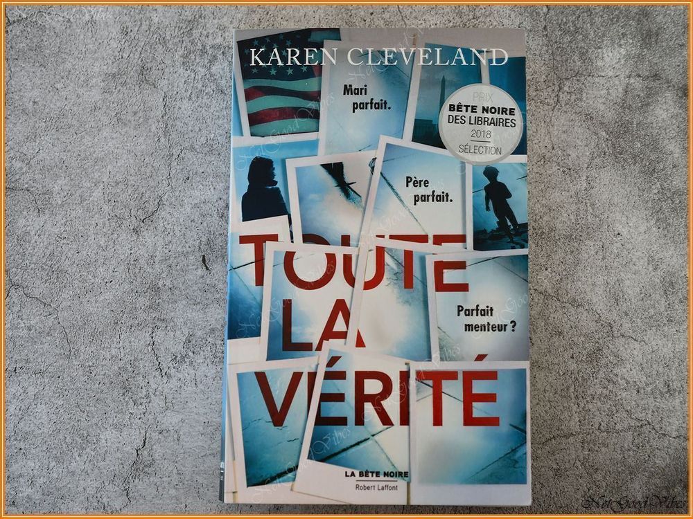 Toute la vérité Broché Kaufen auf Ricardo