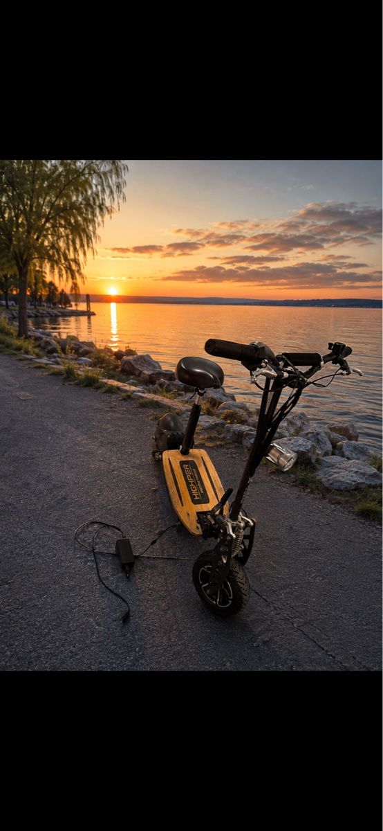 Elektromobile: Elektro Scooter 1600 N – Gebraucht aus Oetwil an der Limmat von misssenzapensieri