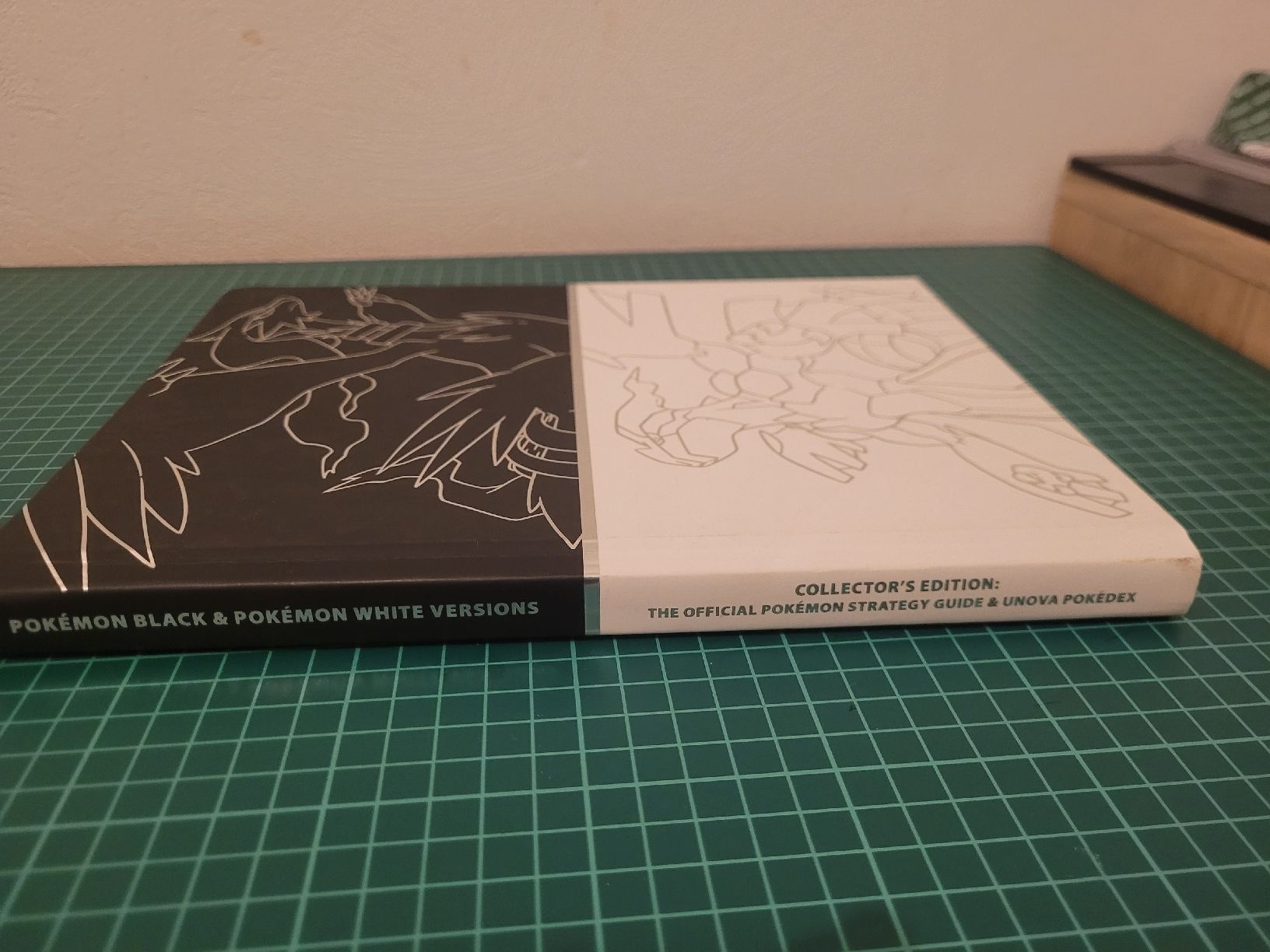 Libri: Pokemon Black and White guidebooks, map and inserts! – Usato da Meyrin venduto da Retro-GZ 3