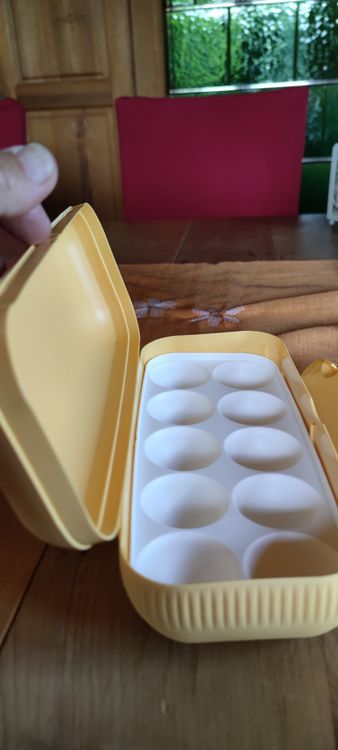 TUPPERWARE 14843 Boîte de rangement pour œufs de colombe Rouge