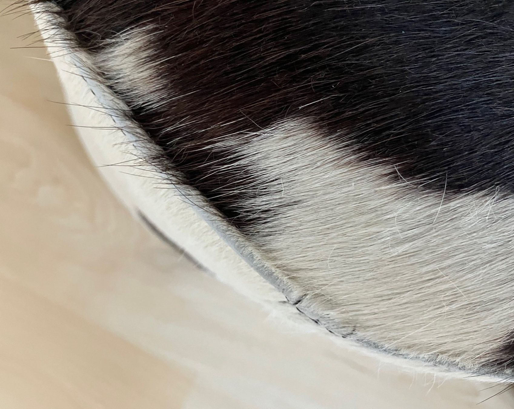 Ikea Hocker: IKEA Kuhfellhocker / Tabouret IKEA en peau de vache – Gebraucht aus Hinterkappelen von 5CH 4
