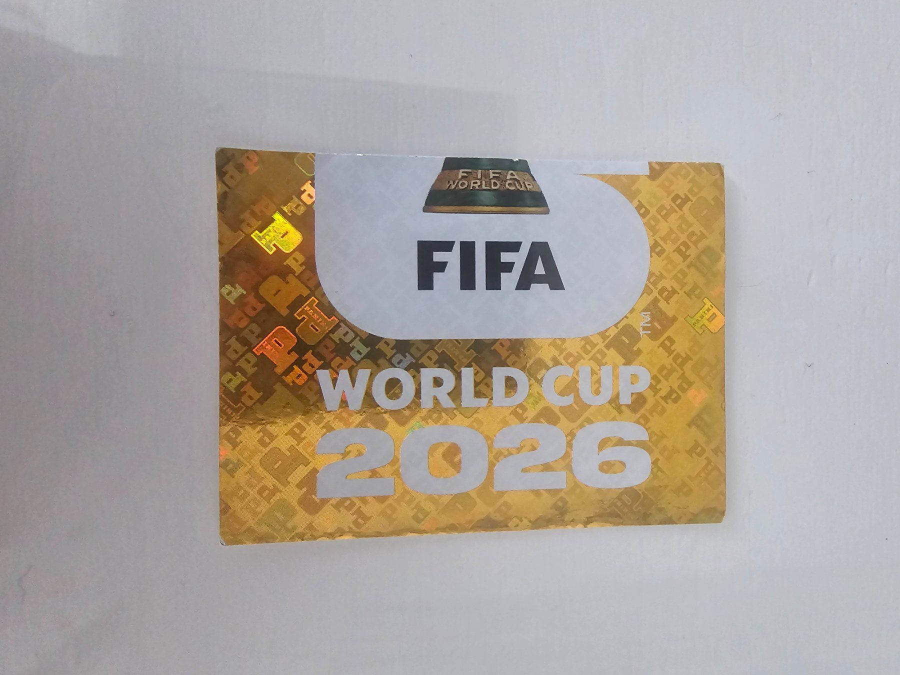 Panini Carte collezionabili: Fwc 2 – Usato da Pregassona venduto da sig_6v2k