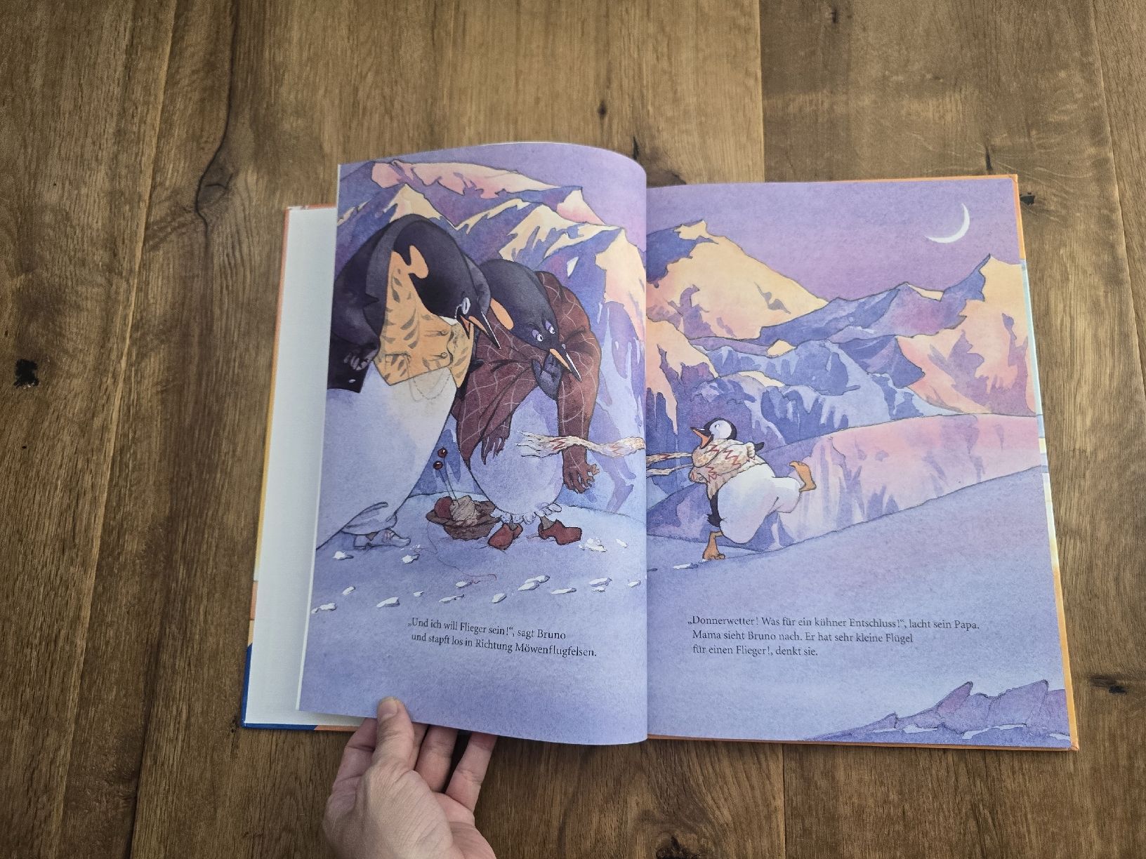 Libri: Bilderbuch "Und ich will Flieger sein" Anette Bley  – Usato da Wittenbach venduto da Tigerlili 7