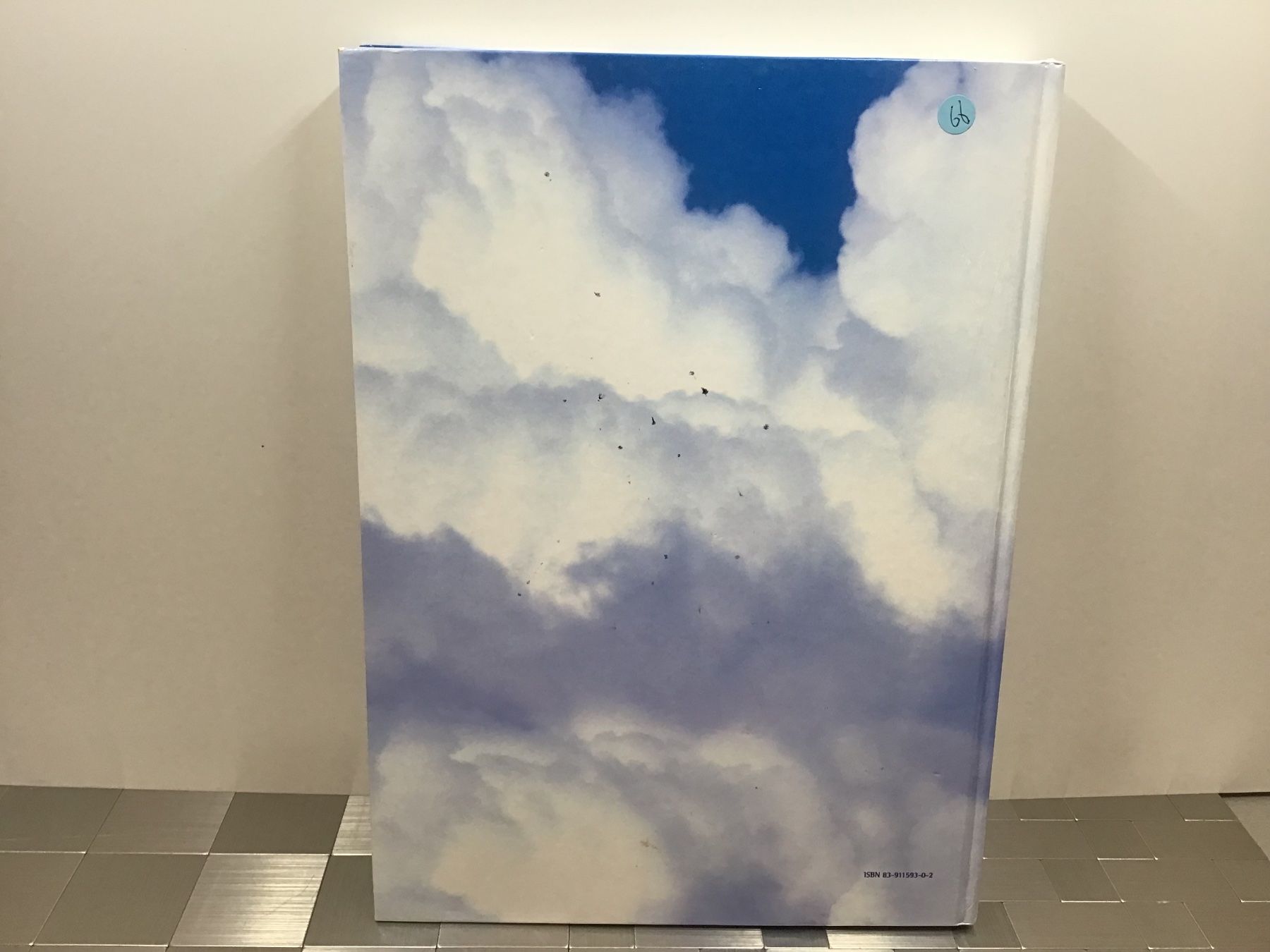 Libri: POLISH AIRLINES – Usato da Männedorf venduto da Spezial-Modelle 2