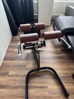 Gym80 back extension & Sport Thieme Boxsäcke 