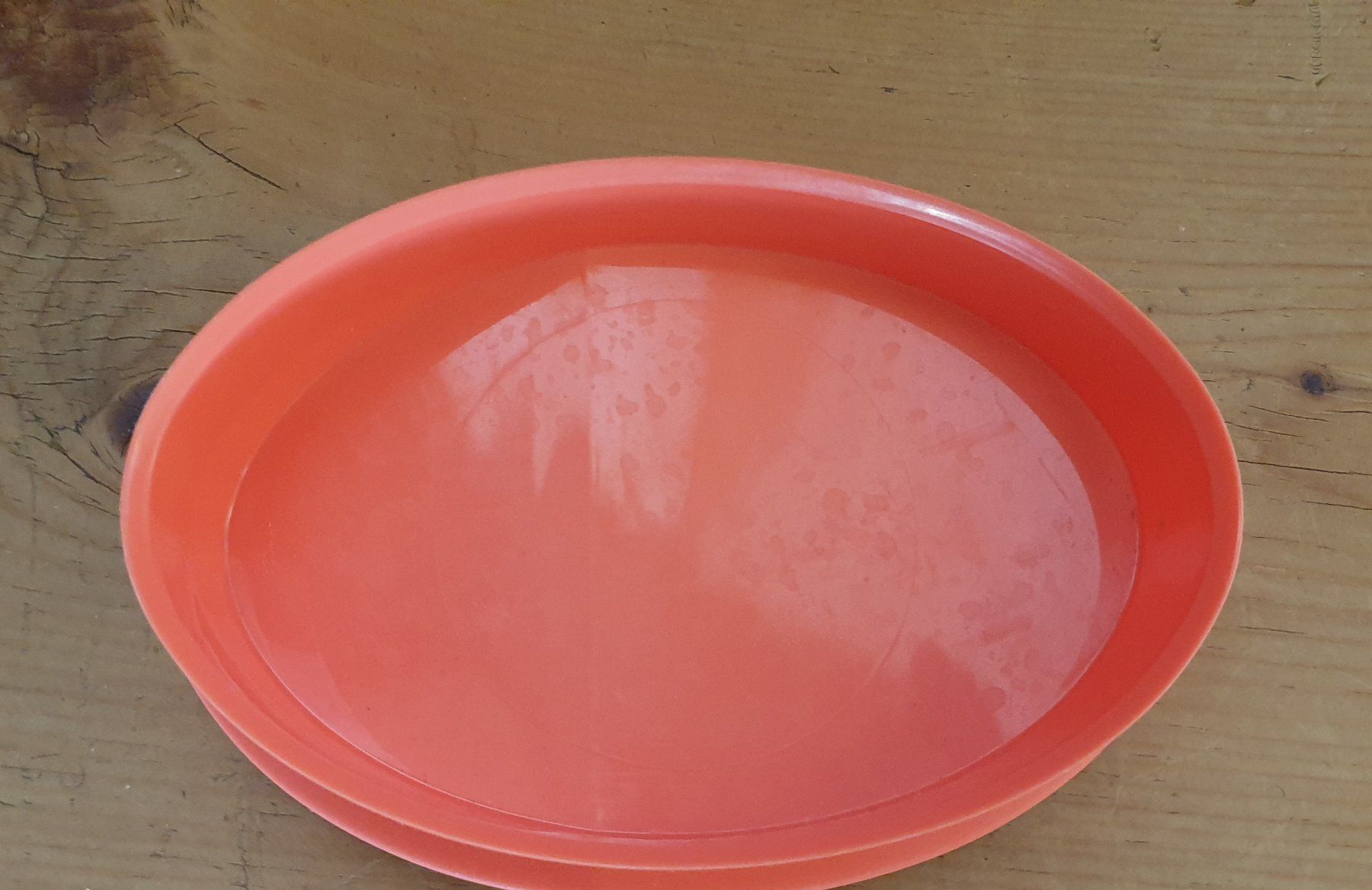 Tupperware Contenitori & Simili: Tupperware Deckel zu Krug – Usato da Wildhaus venduto da enzian66 2