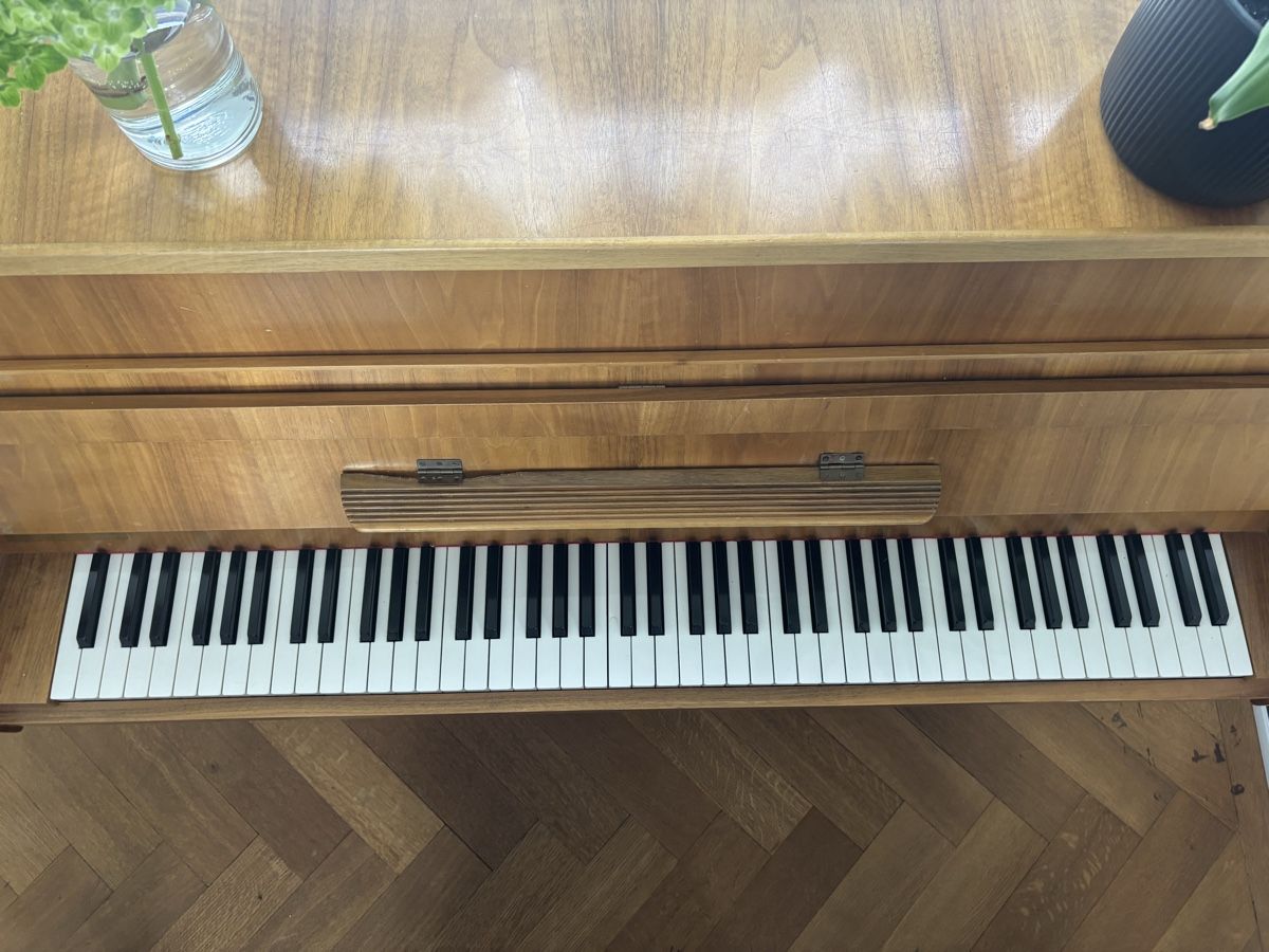 Strumenti musicali: Salbei Upright Piano – Usato da Zollikon venduto da ric_mk5n 1