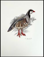 George Bressler (XXe s) paire de gravures