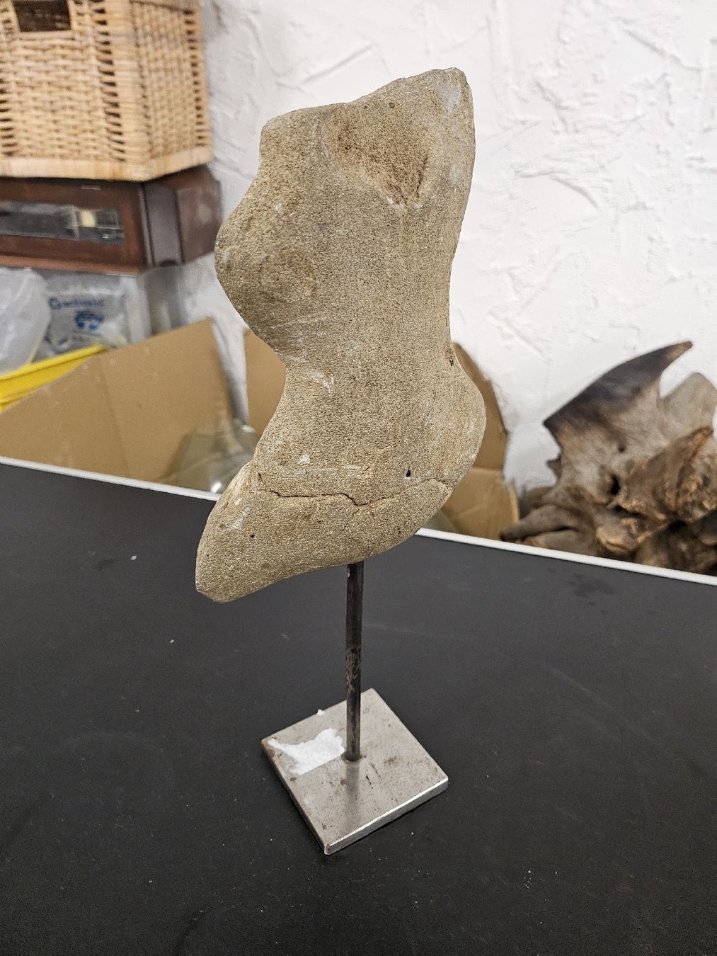 Sculture & Statue: Steinskulptur auf Sockel  – Usato da St. Gallen venduto da Cocos_Ricardo 4