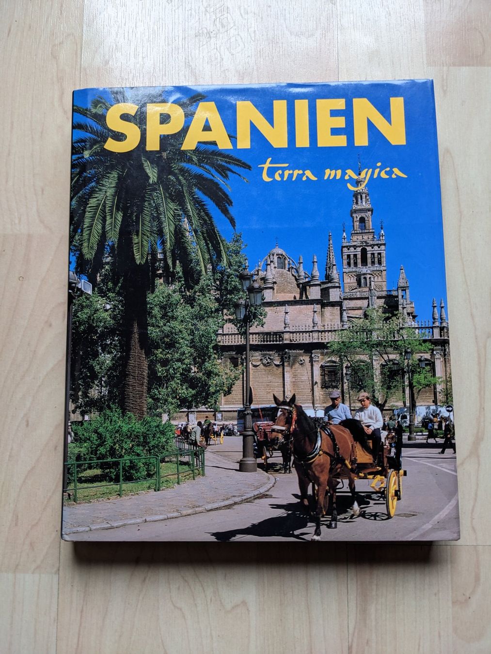 Bücher: Dennis Gunton: SPANIEN: Terra Magica – Gebraucht aus Rotkreuz von eulennest