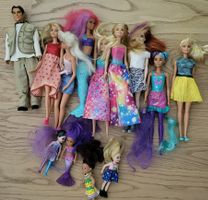 Grosses Barbie Set mit Kleider & viel Zubehör