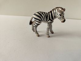 Schleich Zebra Baby Jungtier Wild  Zoo Tiere