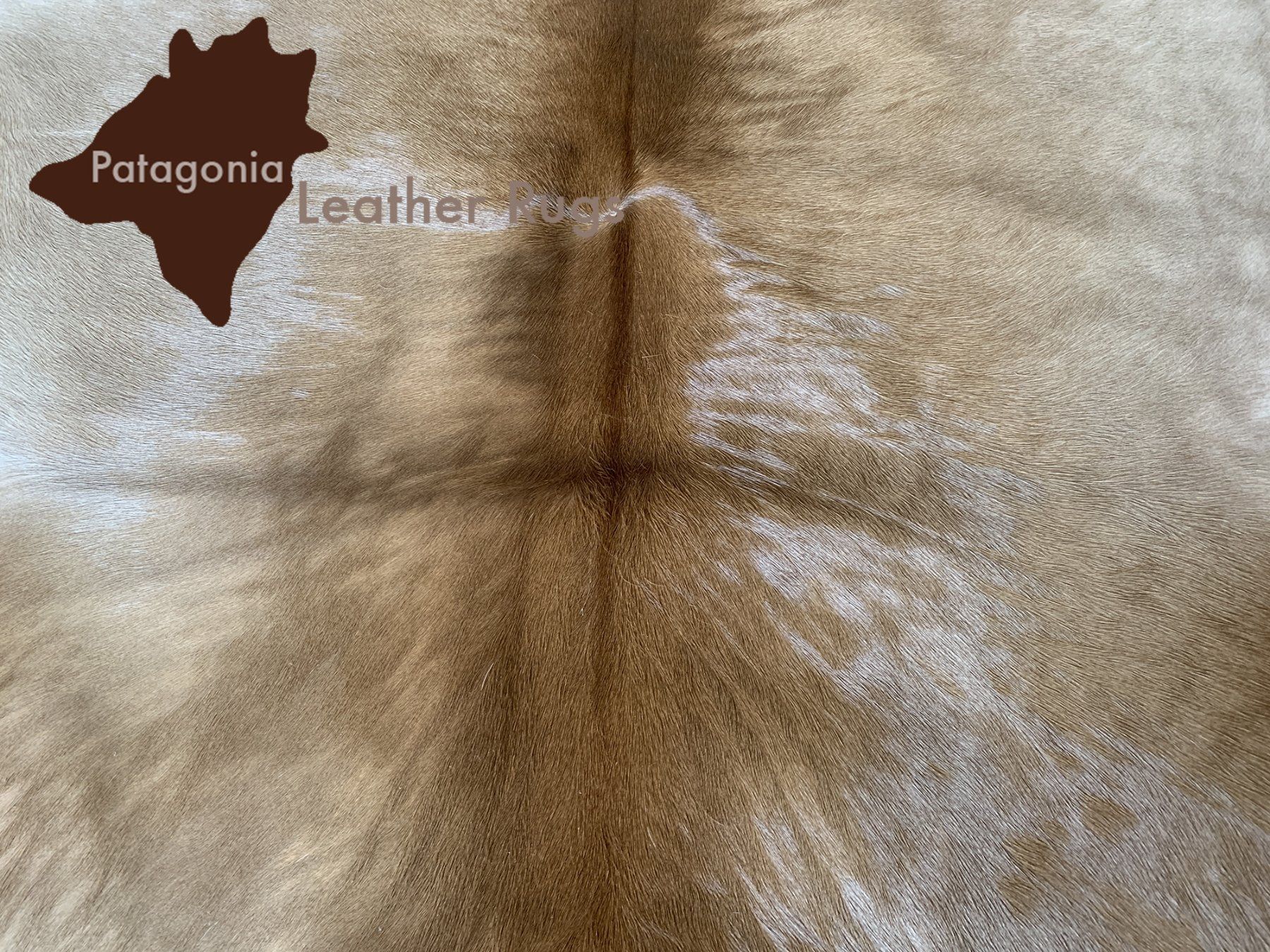 Tappeti: echtes Kalbfell Beige – Nuovo e nell'imballaggio originale da Arbedo venduto da patagonialeatherrugs 1