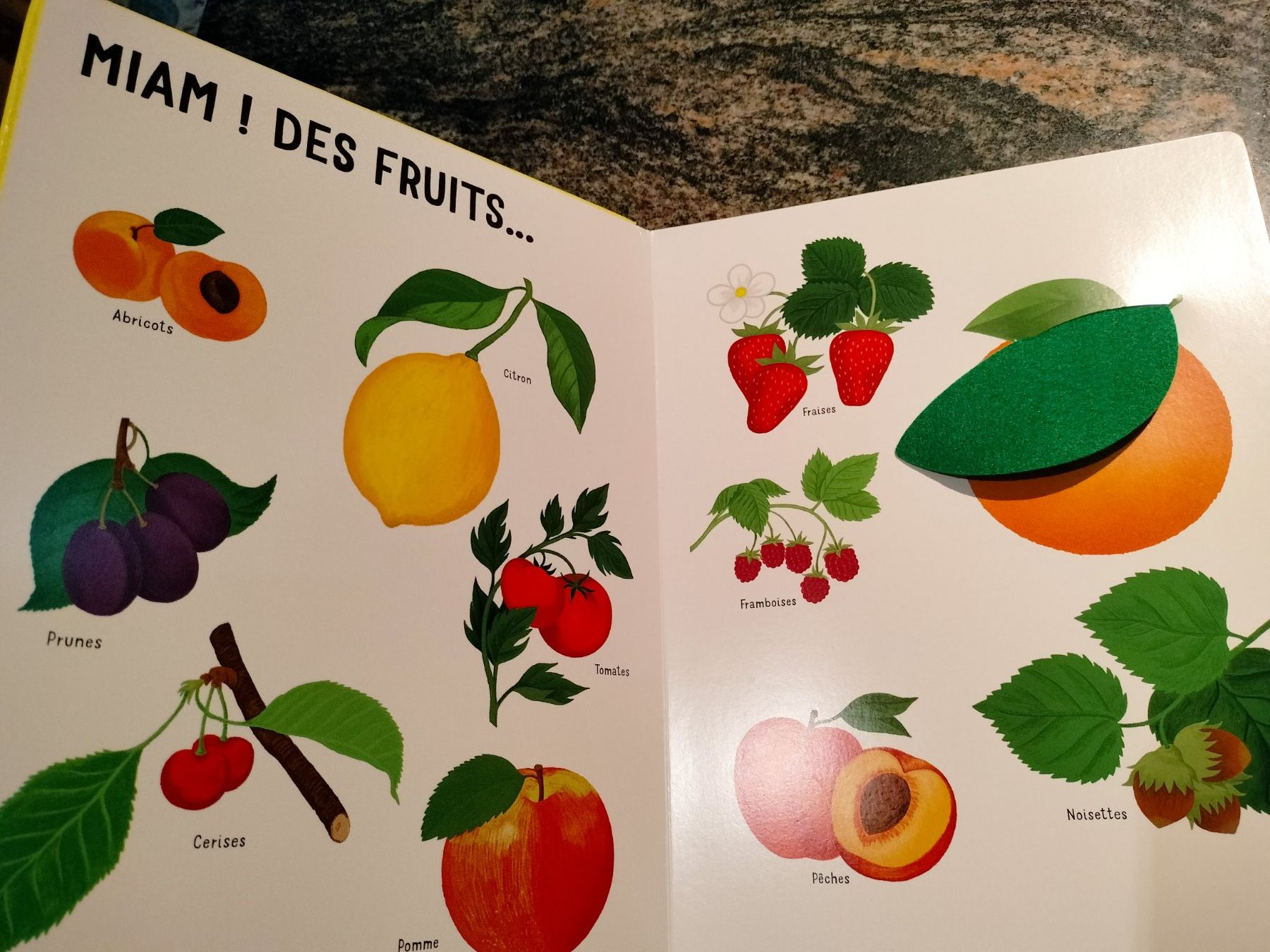 Libri: Dans mon jardin avec de grands flaps en feutrine – Usato da Cortaillod venduto da rozinna 2