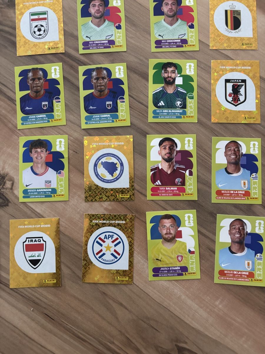 Panini Carte collezionabili: 17 Panini Bilder – Nuovo (secondo la descrizione) da Wimmis venduto da Soccerfanshop 2