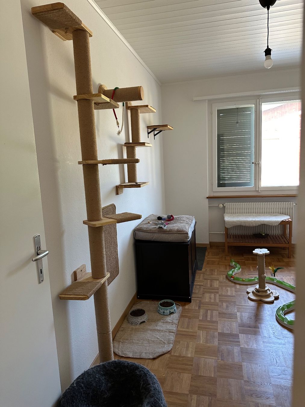 Tiragraffi: Katzenwand FUKUMARU – Usato da Müntschemier venduto da Dodo4506 5