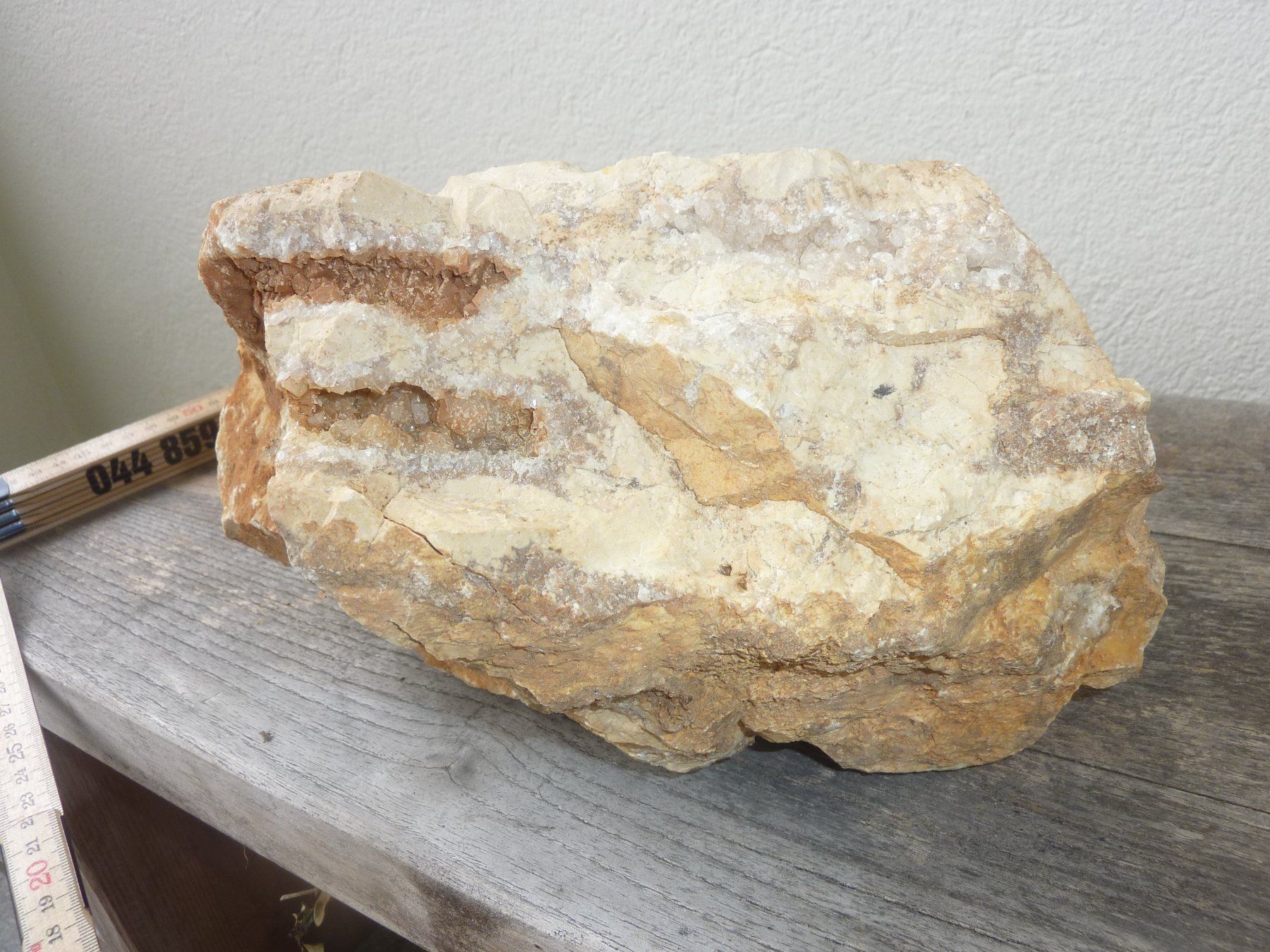 Fossili: Grosse, versteinerte Koralle, Rohstein – Nuovo (secondo la descrizione) da Triengen venduto da Nussbaum14 6