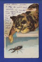 CHAT - Scarabée Publicité "Aux armes d'Angleterre" // dégât