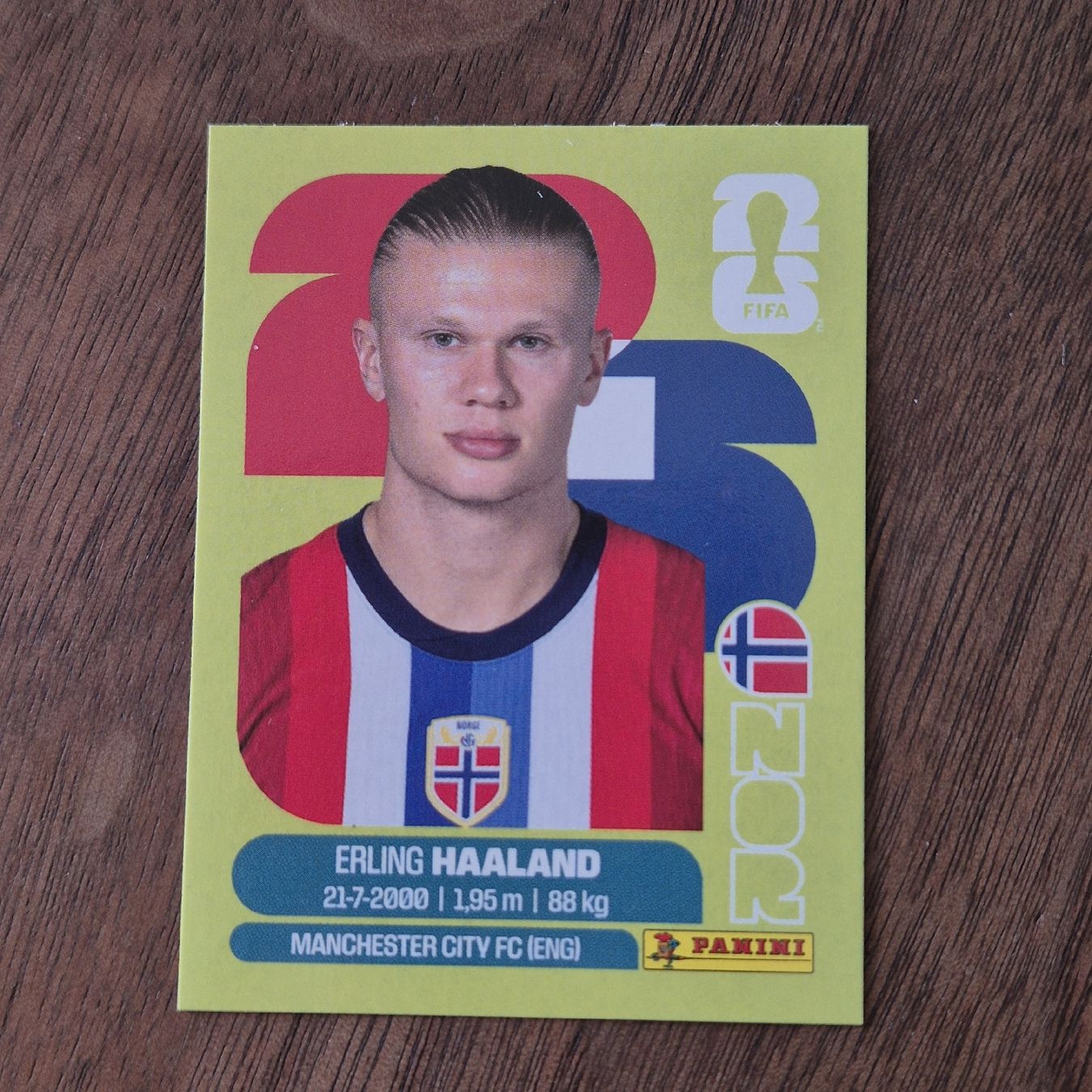 Panini Cartes à collectionner: Erling Haaland – Neuf (Voir description) à Zürich par S1997