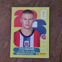 Erling Haaland